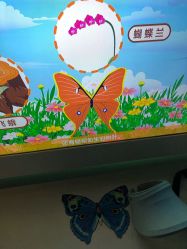 -北京科学中心儿童乐园