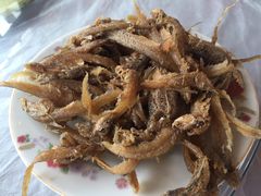 -喜洋洋蟹庄(阳澄湖店)