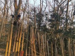 -WeLope紫金山探险公园