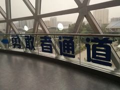 -陕西自然博物馆