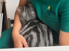 -艾贝尔宠物医院 ·中兽医·宠保定点(北门桥店)