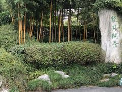 -十八棵（老龙井）御茶园(老龙井店)