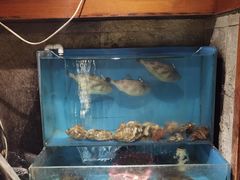-桂马·日本料理·海胆·海鲜饭·酒场(民主广场店)