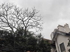 -上海蔡元培故居陈列馆