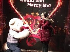 -济州岛泰迪熊博物馆