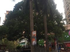 -水围村