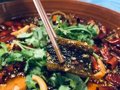 精品毛血旺-华豫川酒家(大卫城店)