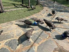 -南戴河国际娱乐中心