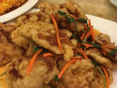 锅包肉-胖太太四川麻辣排骨串(镇江路分店)