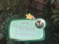 -天河儿童公园