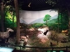 -湖州博物馆