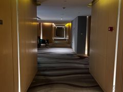 -苏州金鸡湖文博诺富特酒店