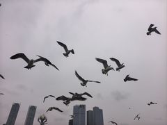 -星海广场