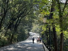 -岳麓山风景名胜区