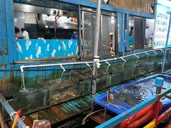 -蓝湾碧波·老字号·疍家非遗海上餐厅