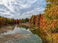 -上海海湾国家森林公园