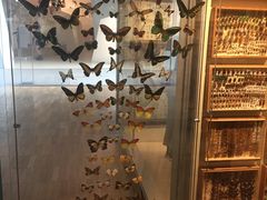 -墨尔本博物馆(Melbourne Museum)