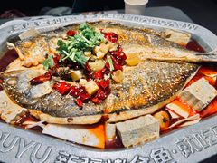 -马有鱼·馕坑烤全鱼(美美2店)