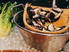 -温州喜来登酒店-盛宴西餐厅