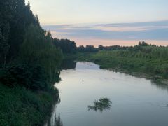 -东郊湿地公园