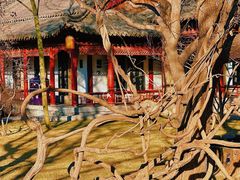 -碑林公园