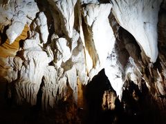 -怀托摩萤火虫洞