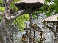 -上海野生动物园