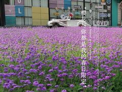 -沈阳植物园