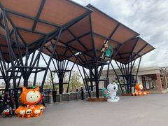 -上海长兴岛郊野公园