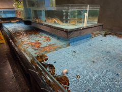 -曼格纳·曼芯馆(杨浦店)
