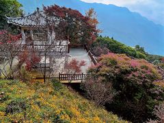 -广州市石门国家森林公园