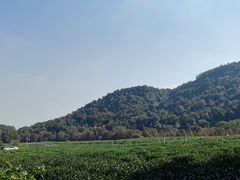-中国茶叶博物馆(双峰馆区)