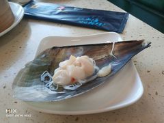 -港畔赶海蒸汽海鲜烧烤自助(仙螺岛店)