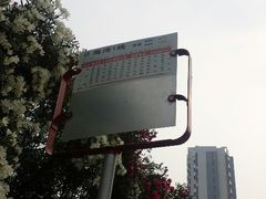 -碧海金沙