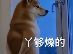 -XPEL旗舰店·汽车贴膜·隐形车衣·改色贴膜