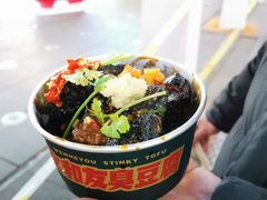 -董顺桃老长沙臭豆腐(步行街店)