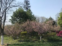 -尚贤河湿地