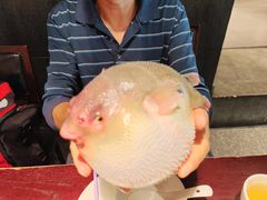 -永安鱼庄·镇江菜(东吴路店)