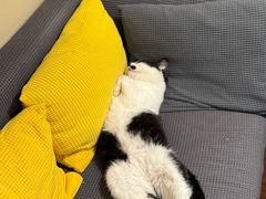 -路易时光(蕴川路店)