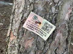 -四明山国家森林公园