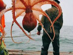 -东戴河风景区-止锚湾