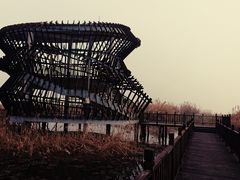 -泗洪洪泽湖湿地景区