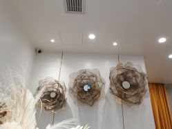 -YESIDO椰岛造型