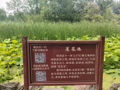 -莲湖公园