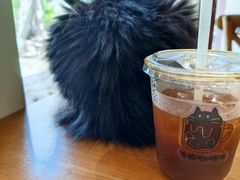 -有猫主题·治愈系猫咖(曾厝垵店)