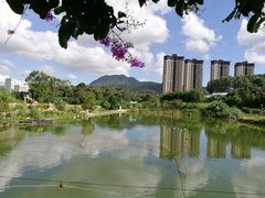 -大王岭农庄