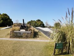 -上海吴淞炮台湾国家湿地公园