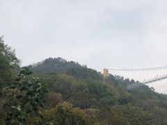 -木兰云雾山