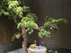 -喜湘宴·精致湖南菜(和平西桥店)