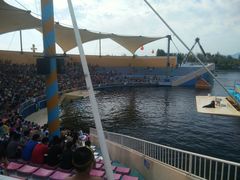 -秦皇岛乐岛海洋王国